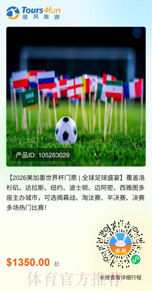 世界杯比分