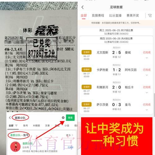 世界杯比分