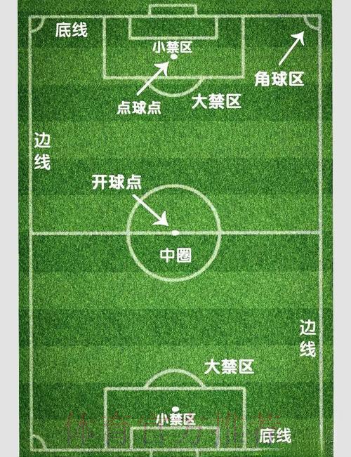 世界杯滚球玩法全面解析：高清官方权威指南