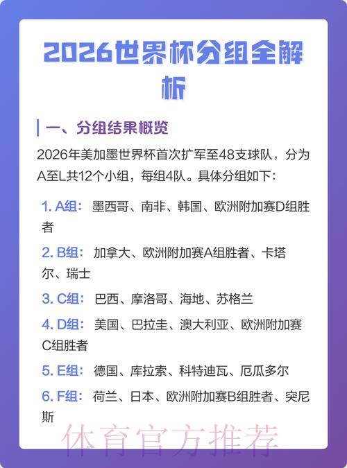 世界杯比分